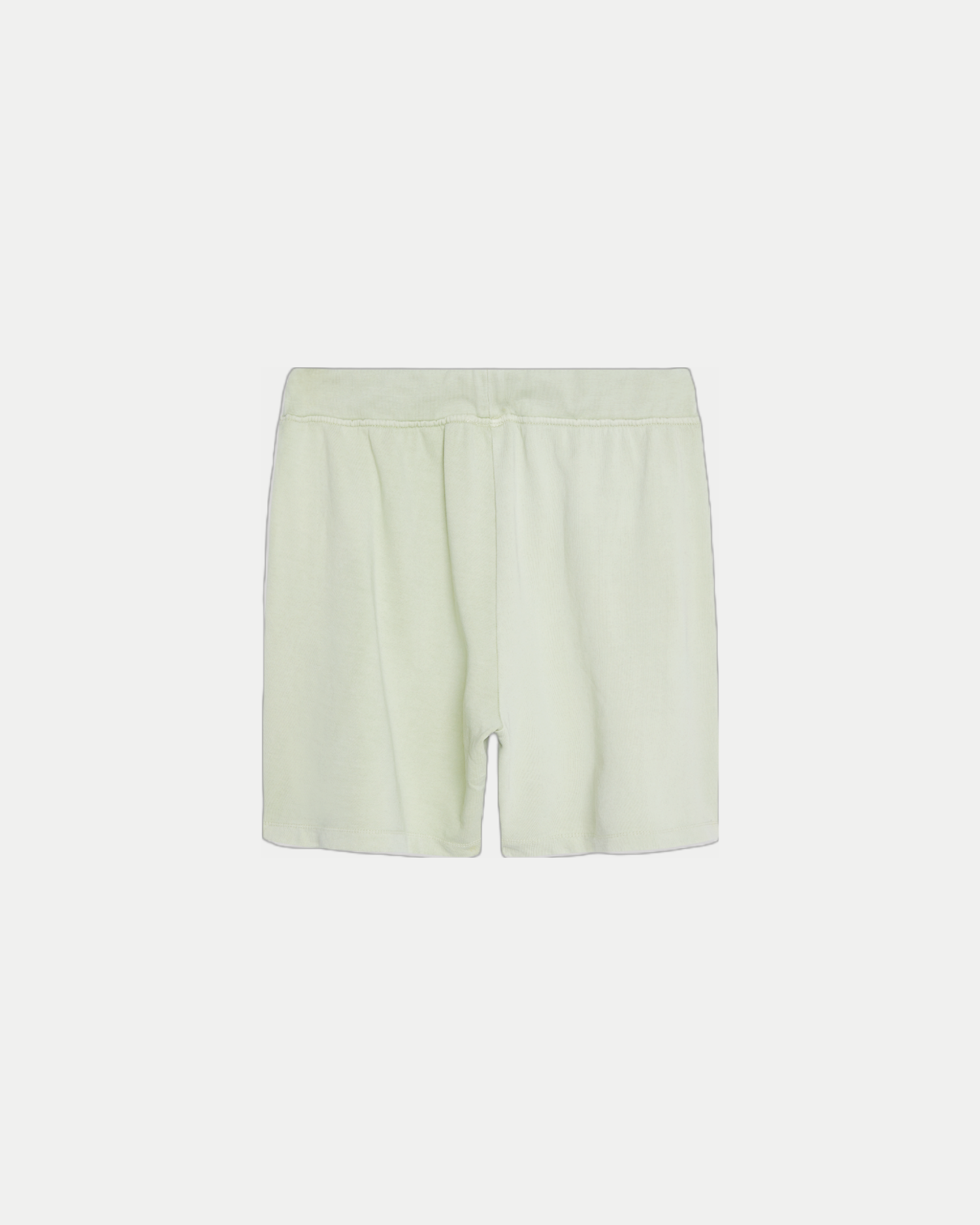 Men's 6 inch casual cotton shorts in mint